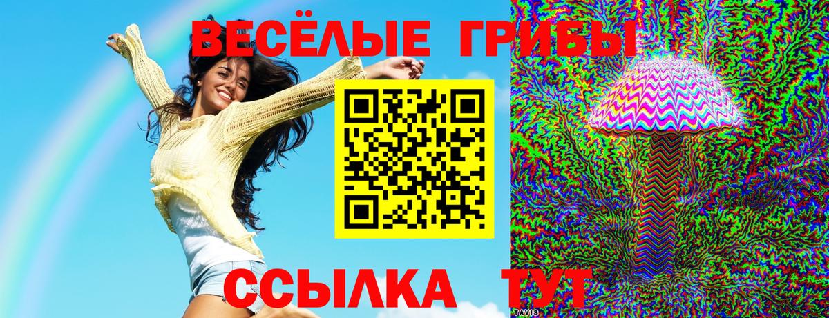 Чапаевск  Галлюциногенные грибы Psilocybe  Вход с VPN  Галлюциногенные грибы прущие грибы 